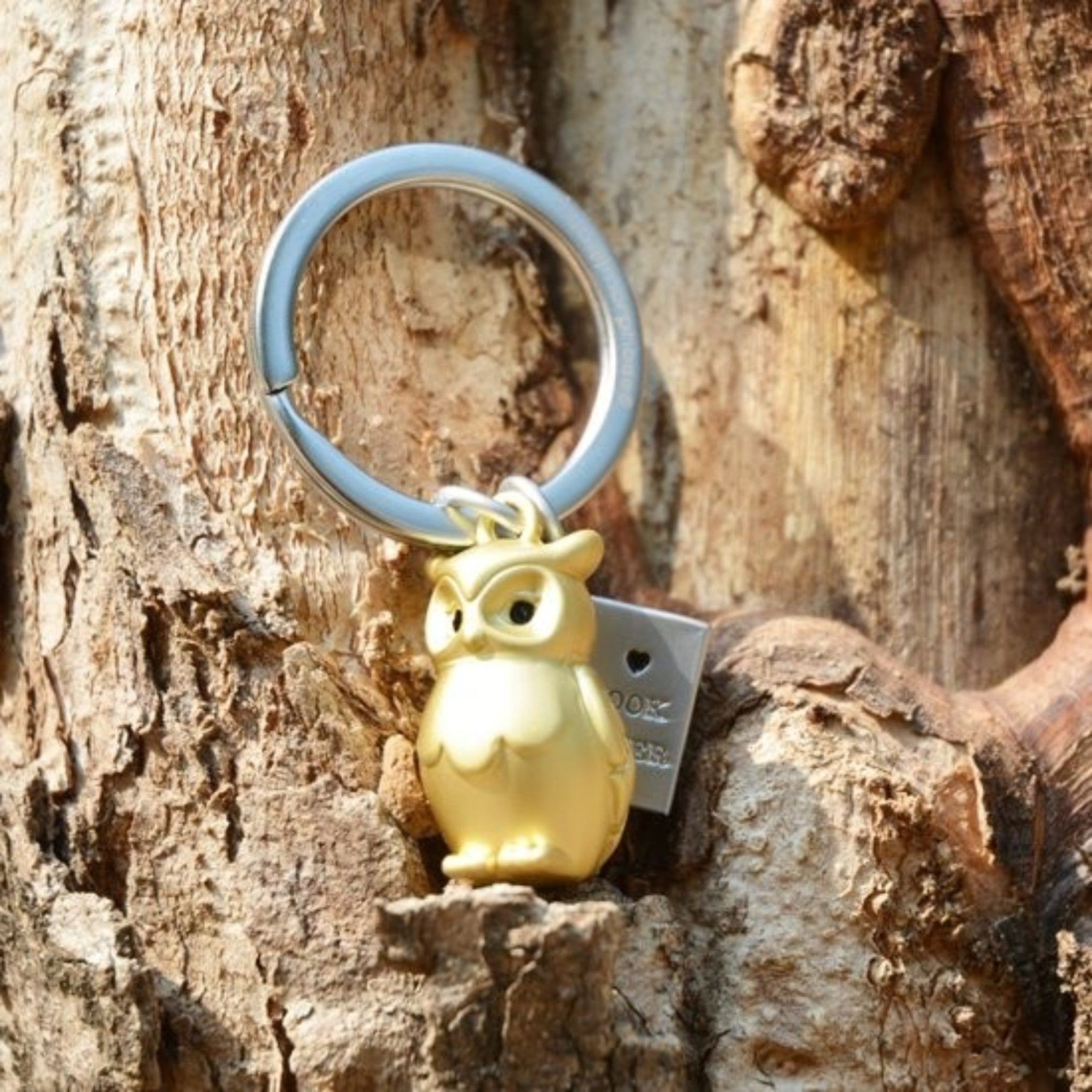 Sleutelhanger - Wise owl