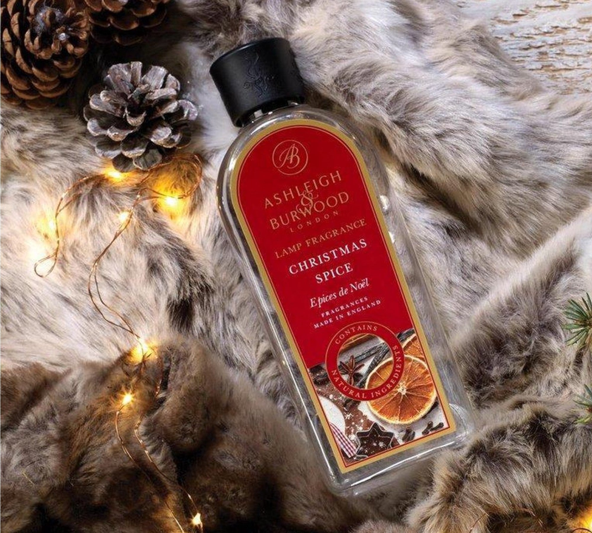 Festive & Winter