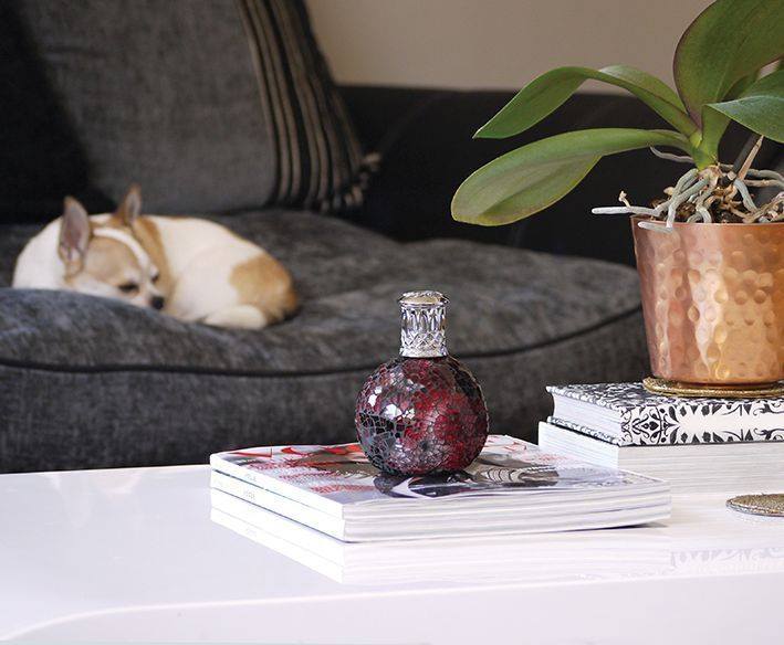 Sfeervolle Ashleigh & Burwood geurlamp in rood mozaïekglas op een salontafel, stijlvol accessoire en geurverspreider, verkrijgbaar bij cadeauwinkel Omdat in Uden.