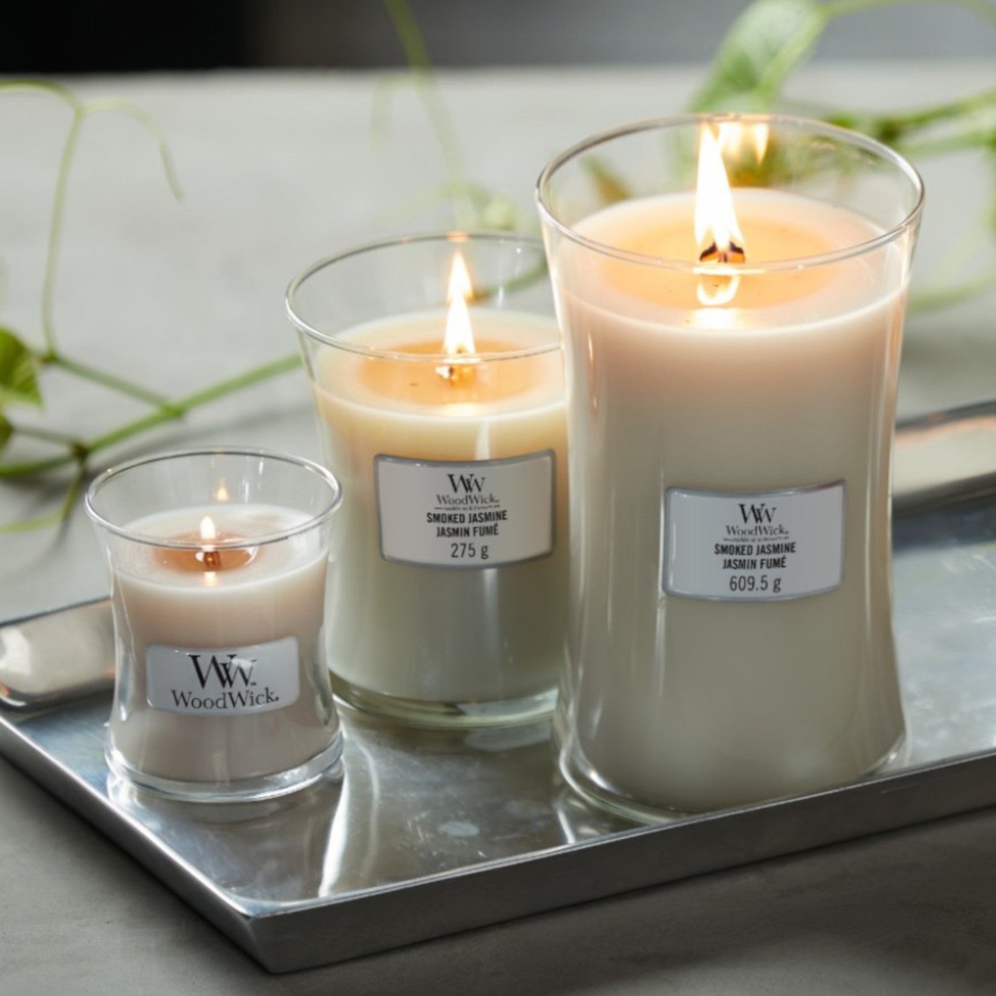 WoodWick – Gerookte Jasmijn – Ellipse