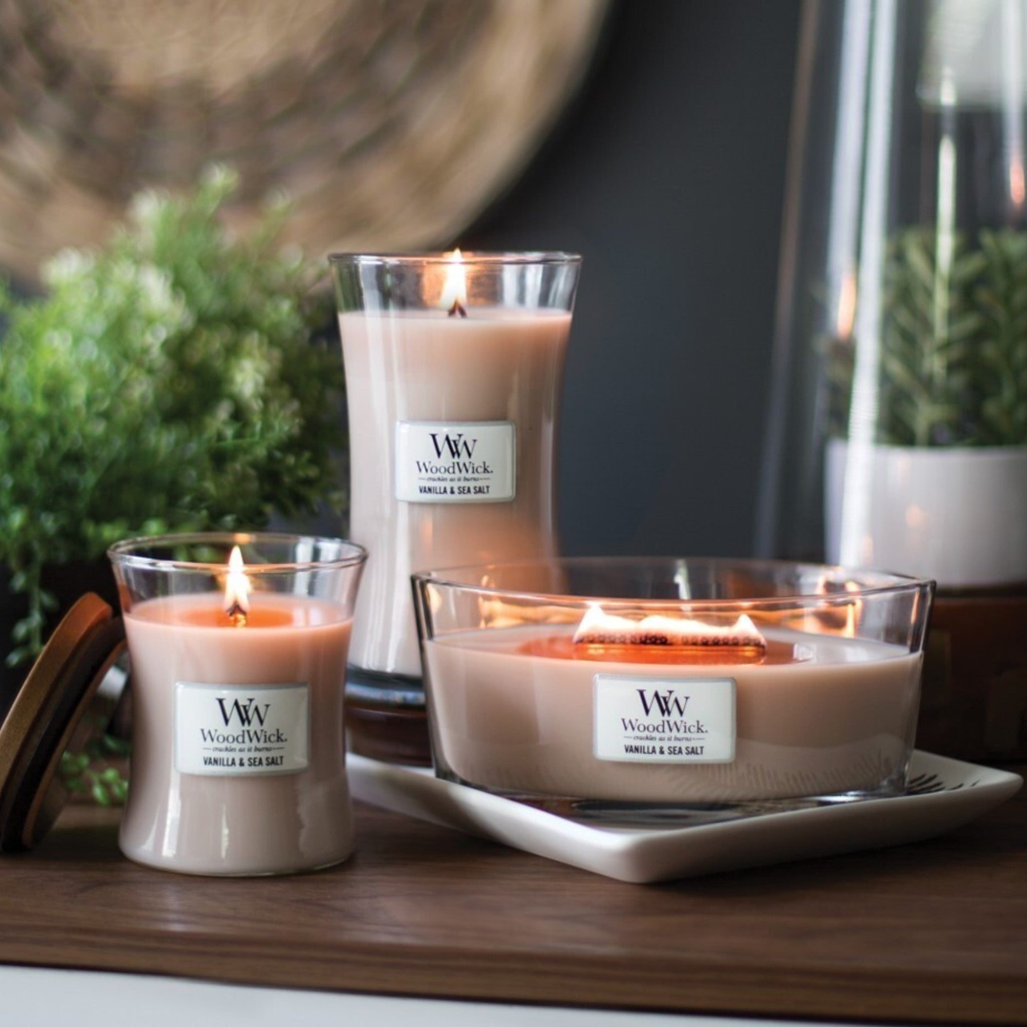 WoodWick – Vanille &amp; Zeezout – Ellipse